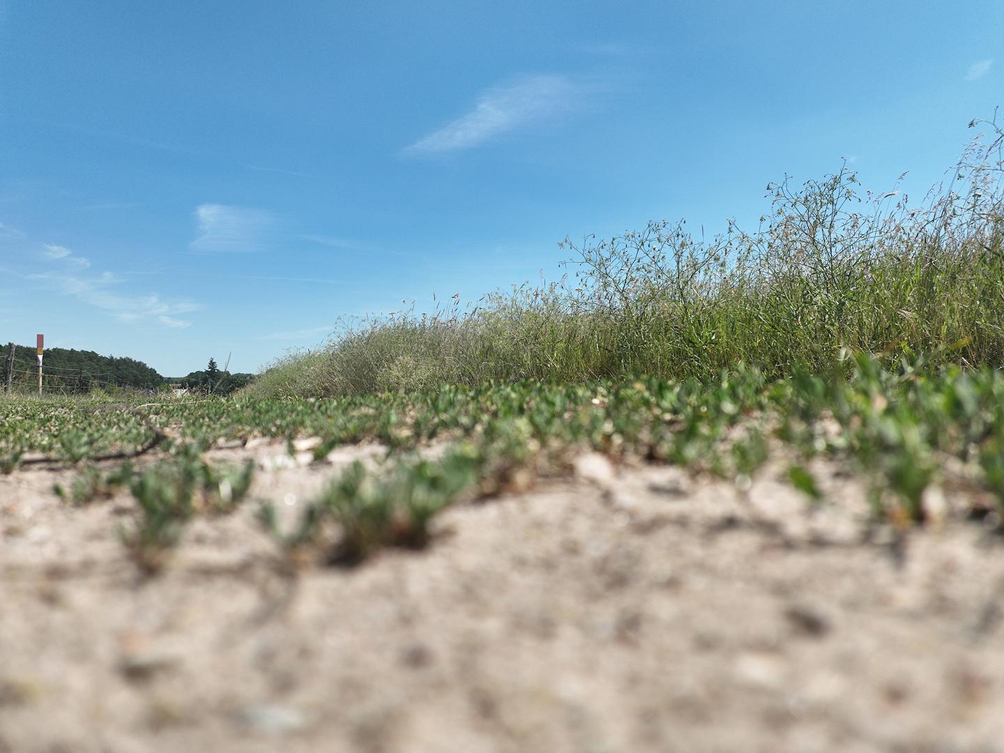 Panoramabild 