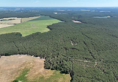 Blick Richtung Osten 