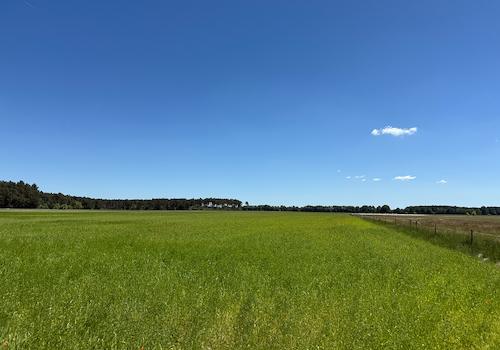 Blick über die Landwirtschaftsfläche vom Wirtschaftsweg 