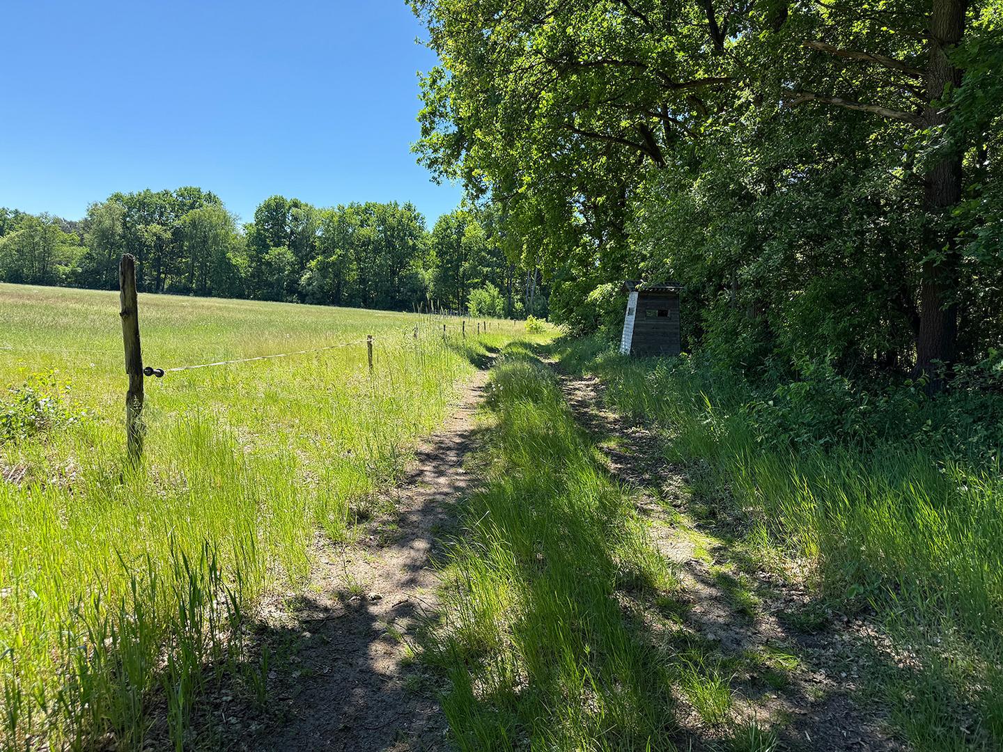 Blick auf den Wirtschaftsweg 