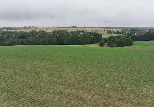 Blick über den Acker 