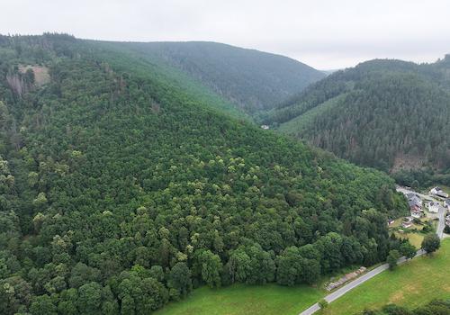 Blick Richtung Nord-Ost 