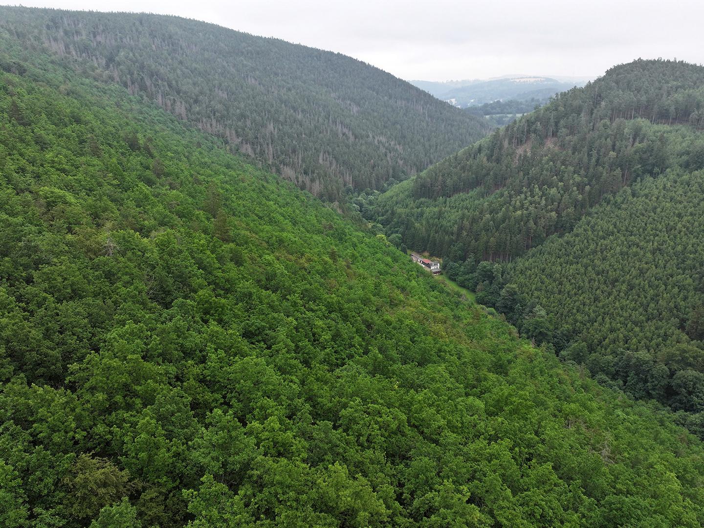 Blick Richtung Osten 