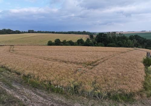 Blick über den Acker