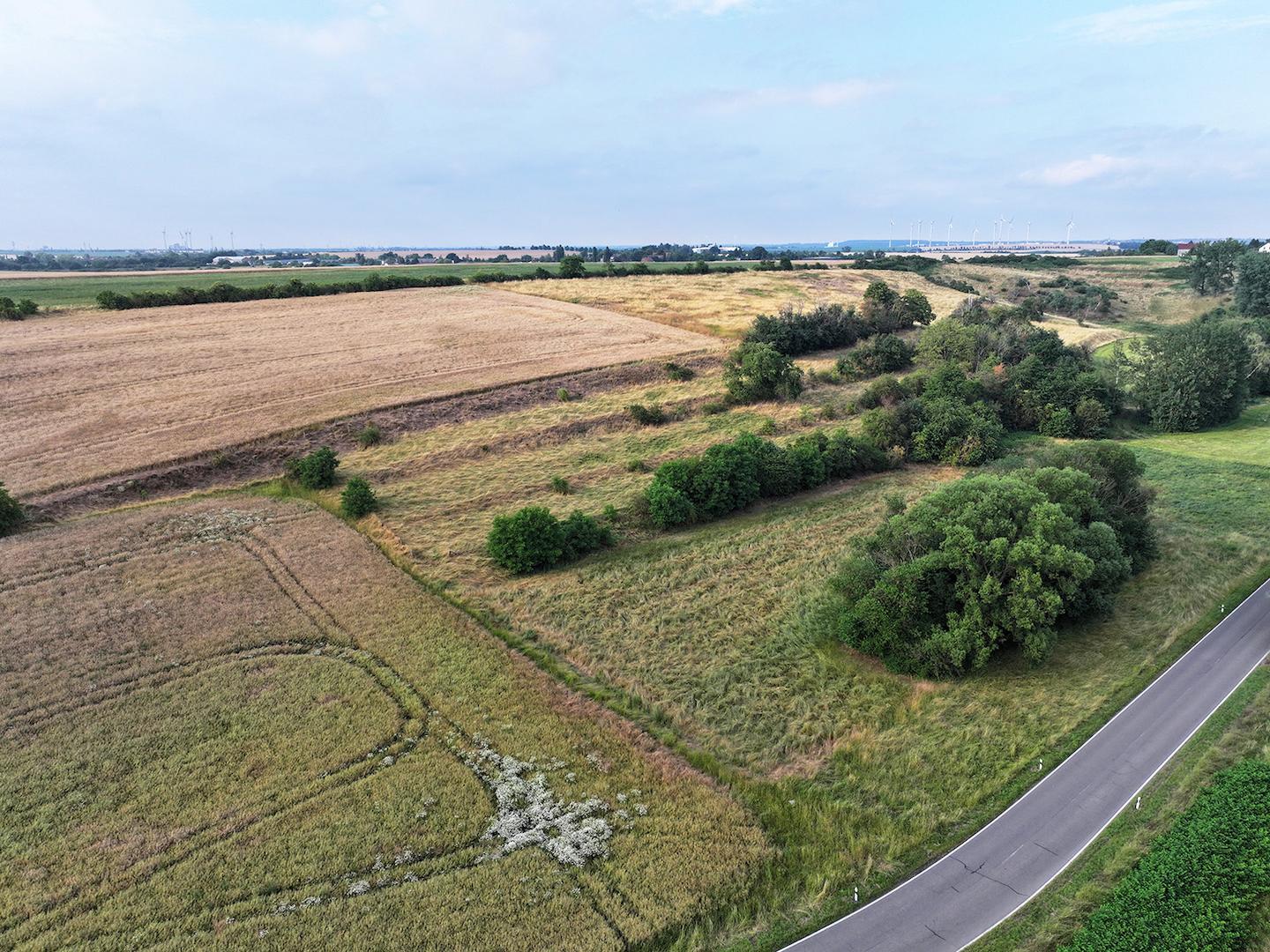 Blick Richtung Nord-ost 