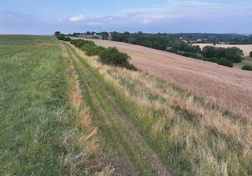 Blick auf Wirtschaftsweg + Acker 