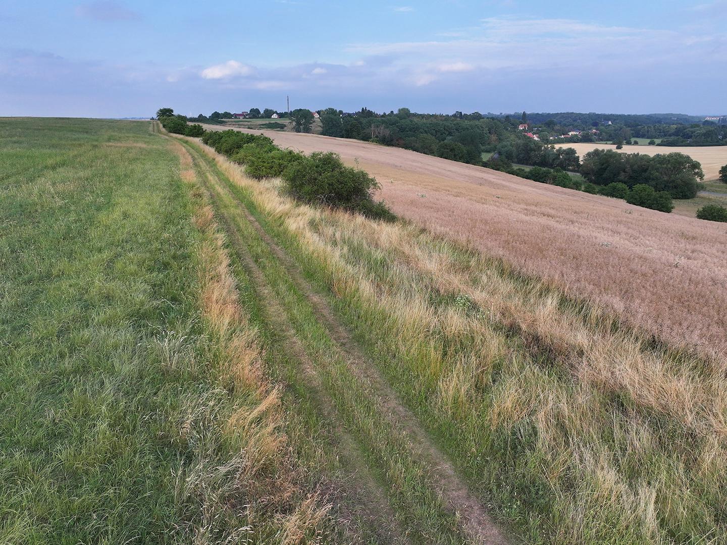 Blick auf Wirtschaftsweg + Acker 