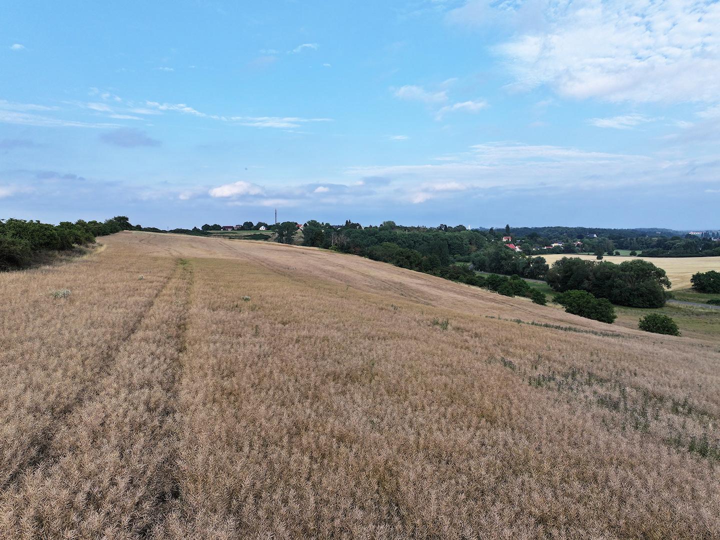 Blick über den Acker 