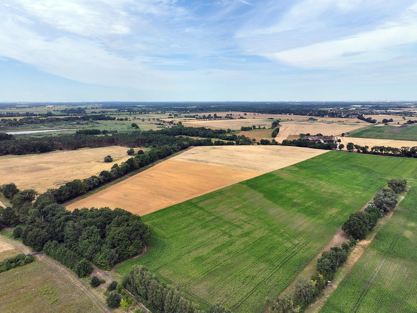 Blick Richtung Nord-West 