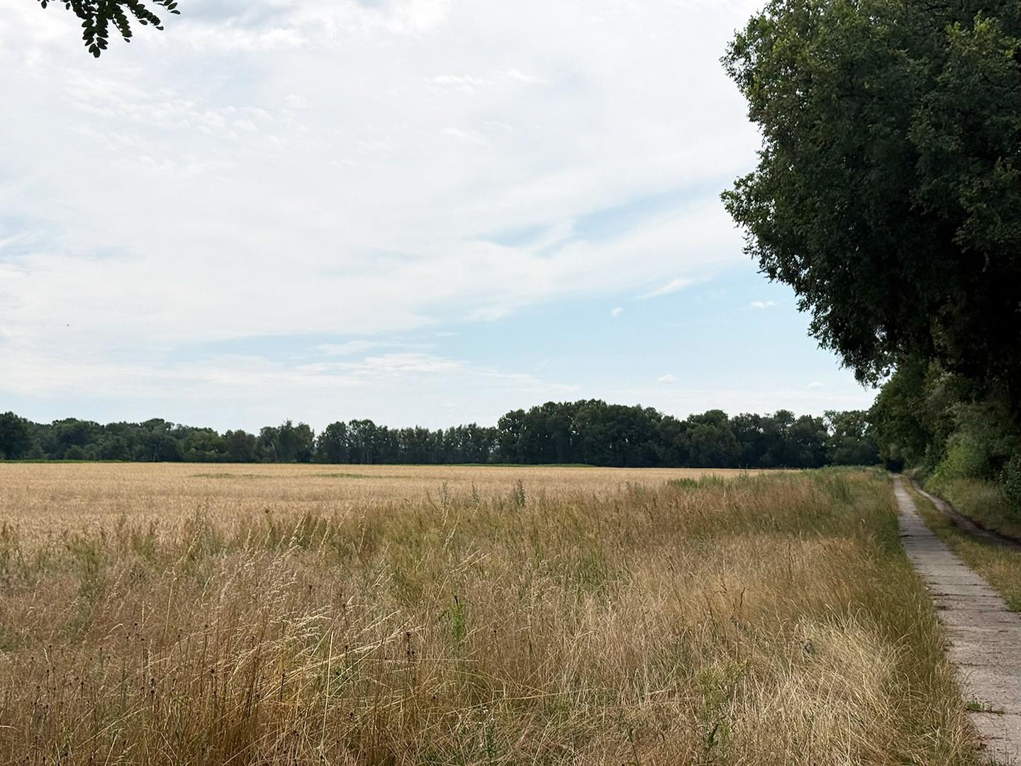 Wirtschaftsweg + Acker 