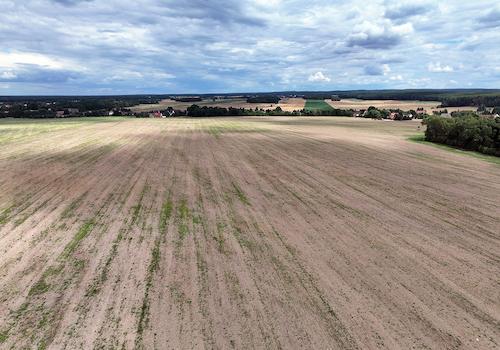 Blick über den Acker 