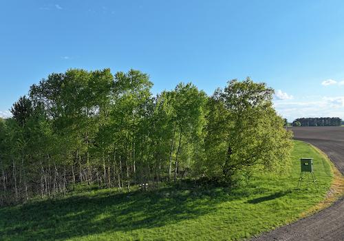 Am Waldrand