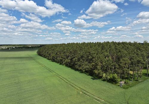 Blick auf den Acker und Wald
