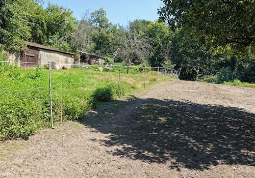 Blick über das Grundstück 