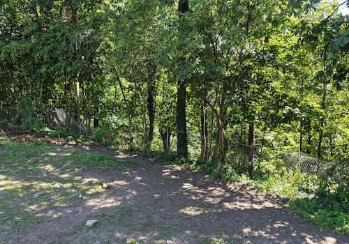 Blick auf die Waldfläche 