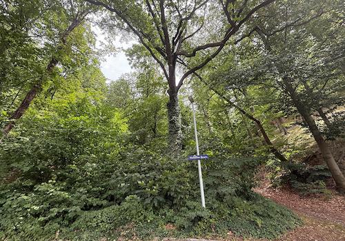 Blick von der öffentlichen Straße 