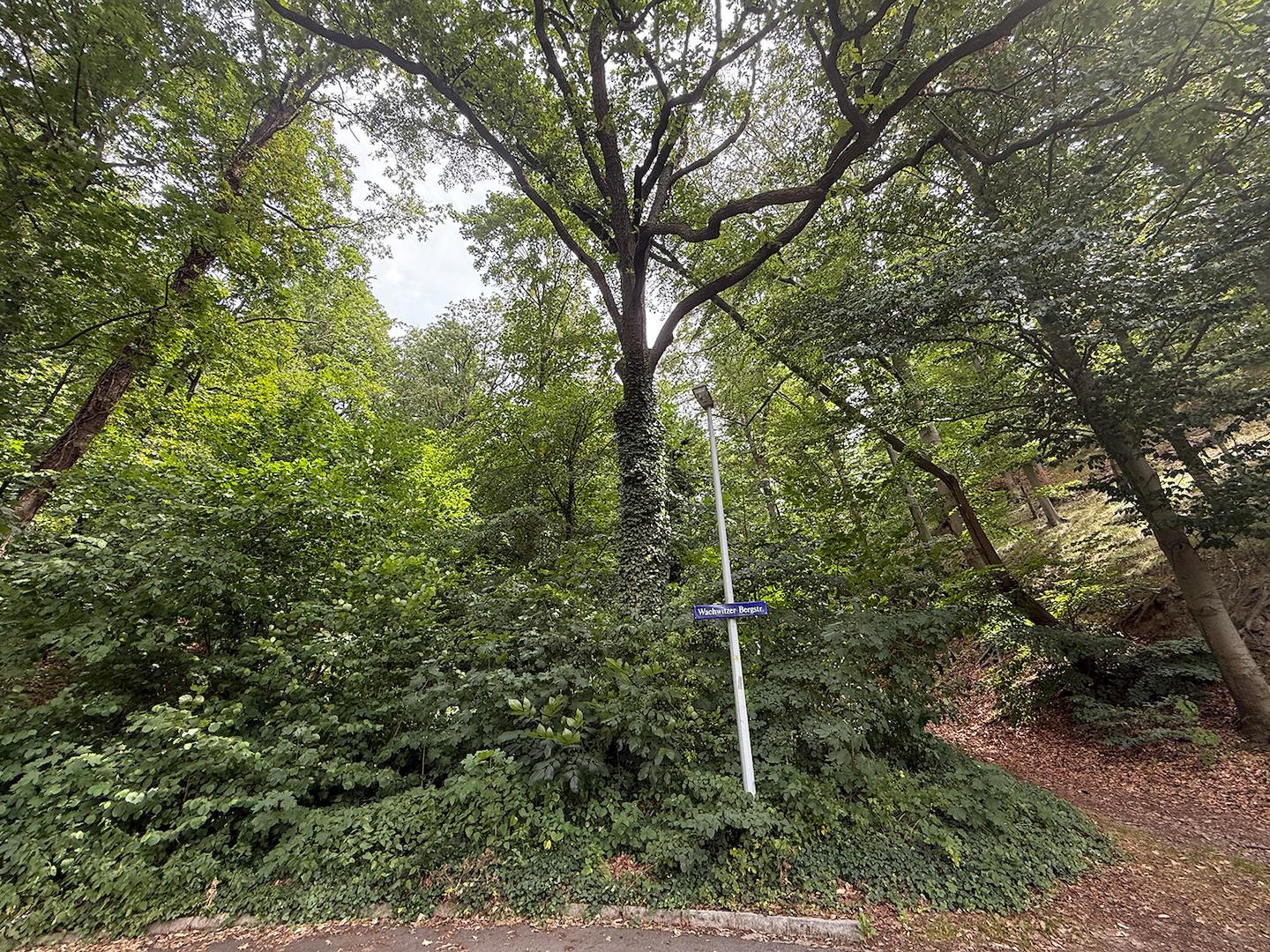 Blick von der öffentlichen Straße 