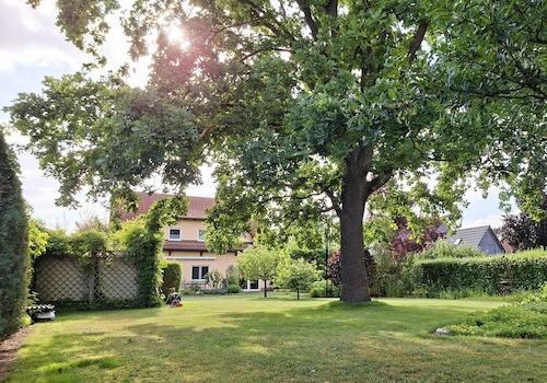 Blick aus dem Garten zum Haus