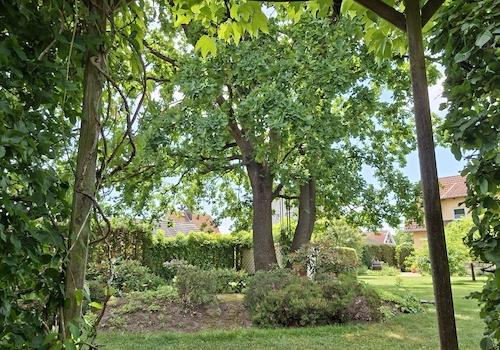 Blick vom Sitzplatz im Garten