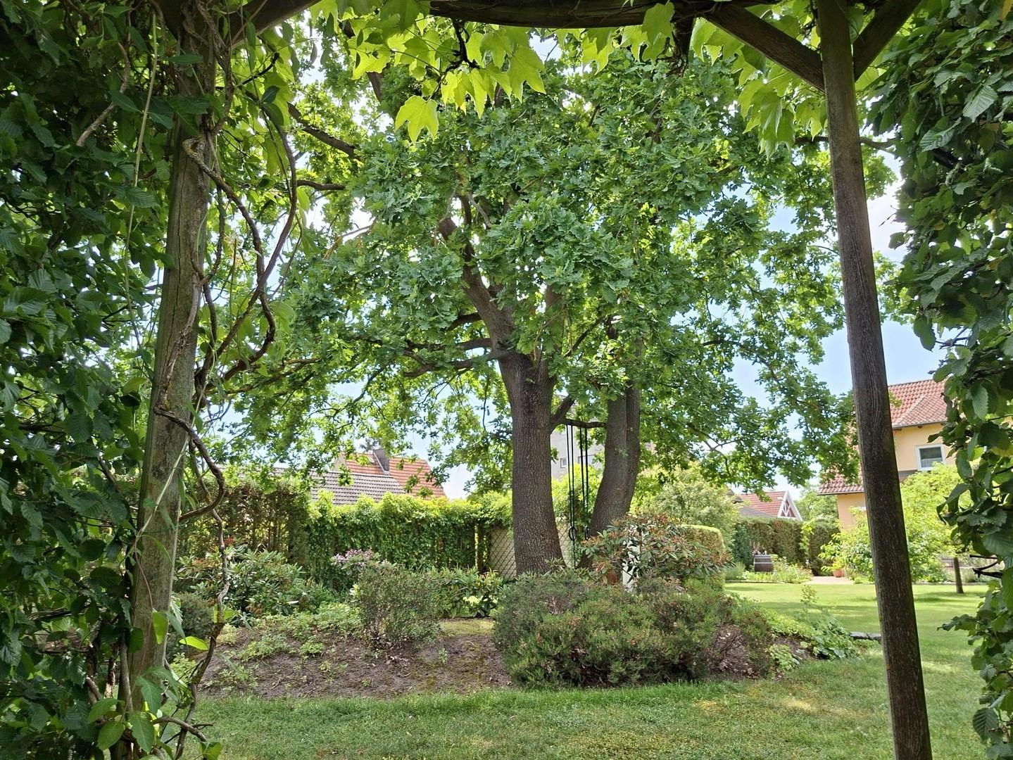 Blick vom Sitzplatz im Garten