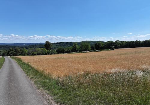 Wirtschaftsweg