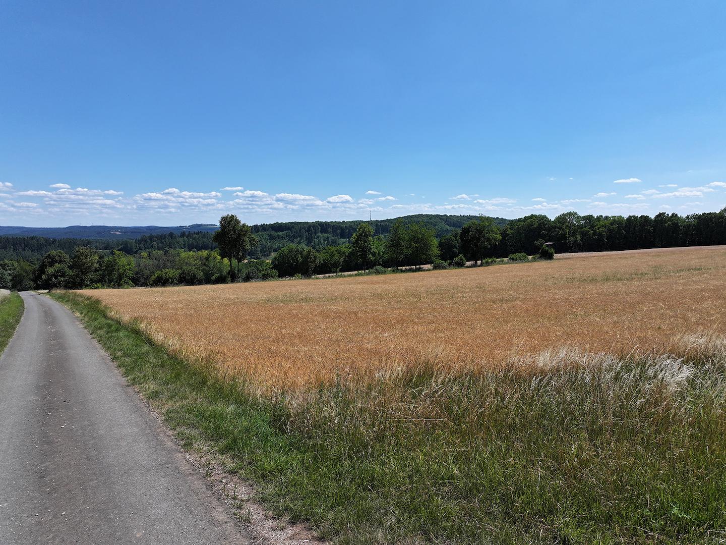 Wirtschaftsweg