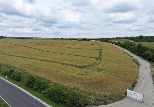 Blick über den Acker + Zuwegung 