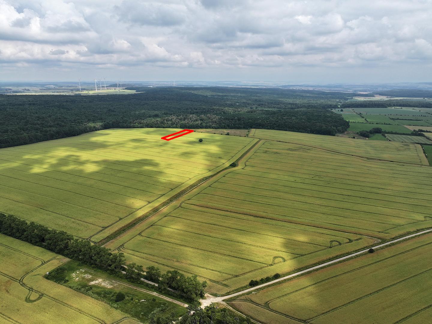 Blick Richtung Nord-Ost 