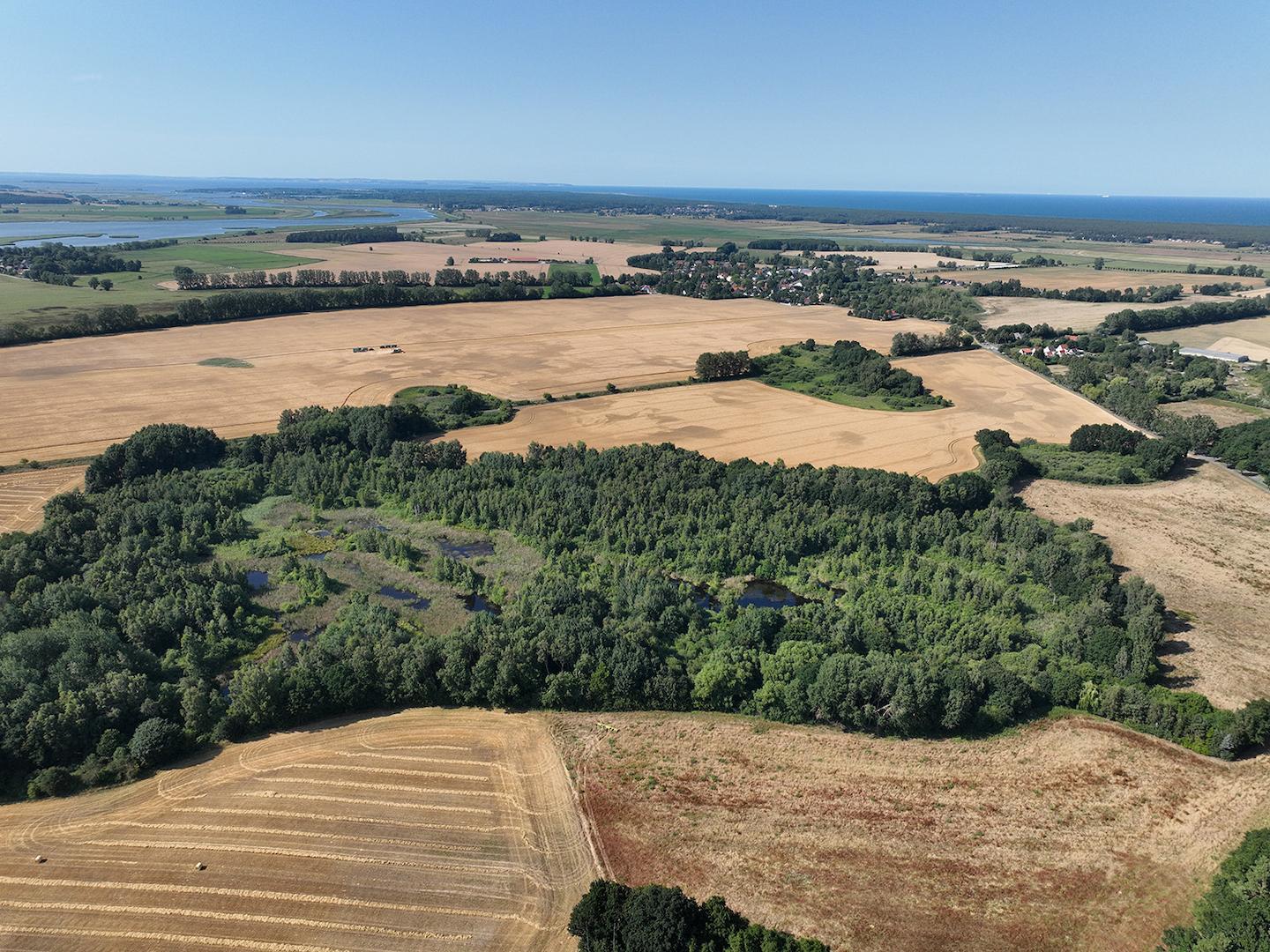 Blick Richtung Norden 