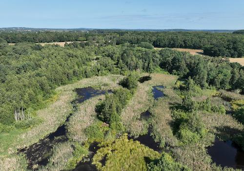 Blick über das Moor 