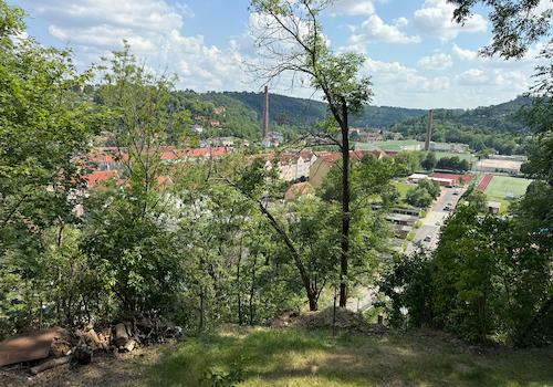 Blick ins Triebischtal