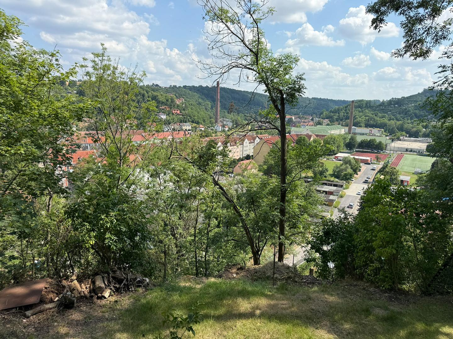 Blick ins Triebischtal