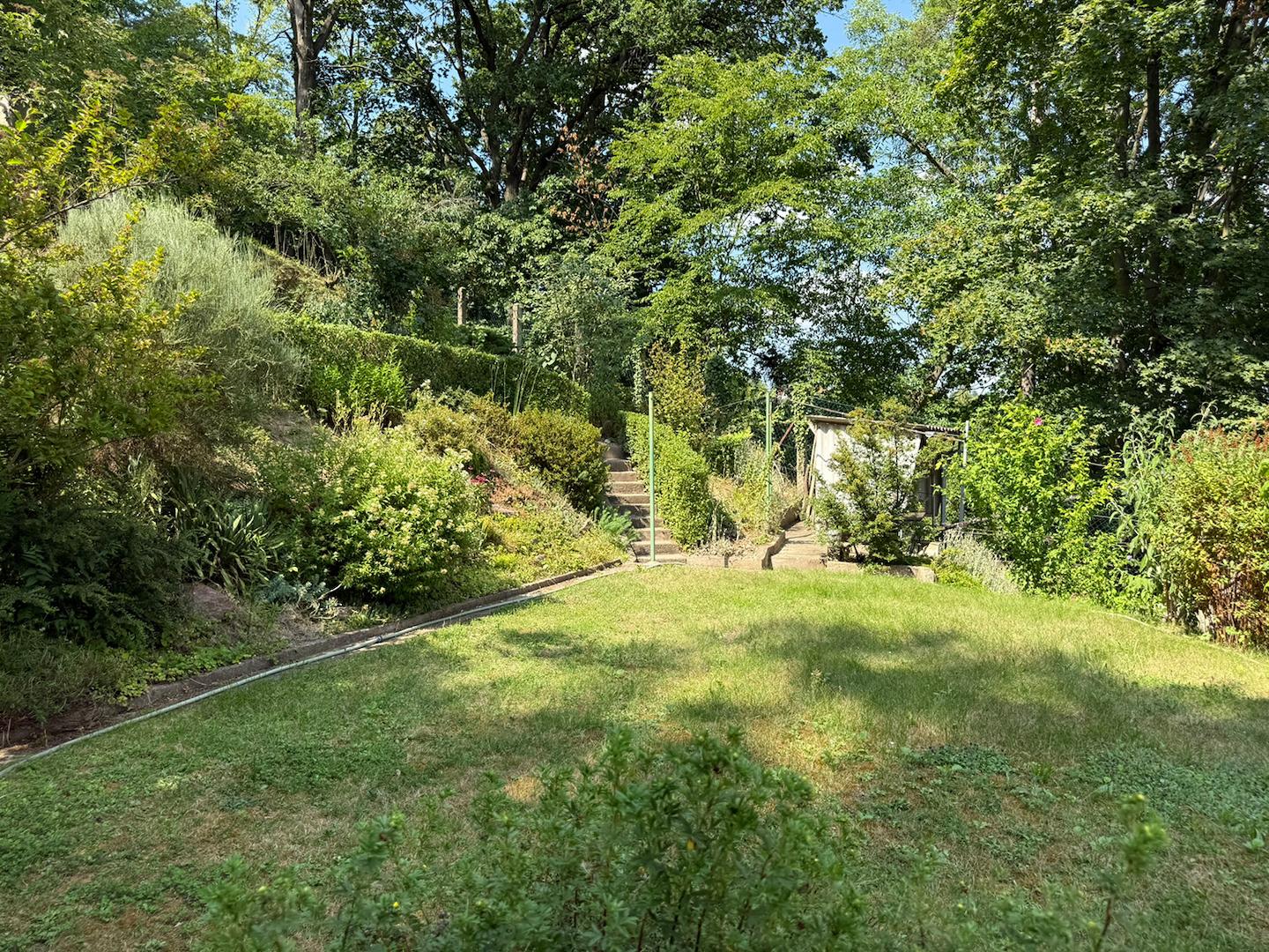 Wiesenfläche