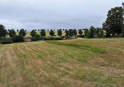 Blick über die Wiese 