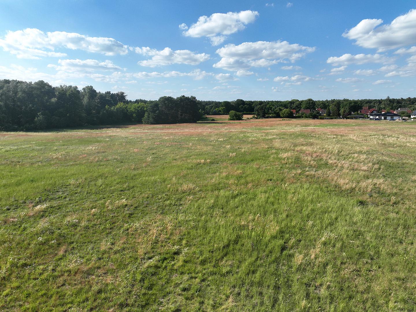 Blick über die Landwirtschaftsfläche 