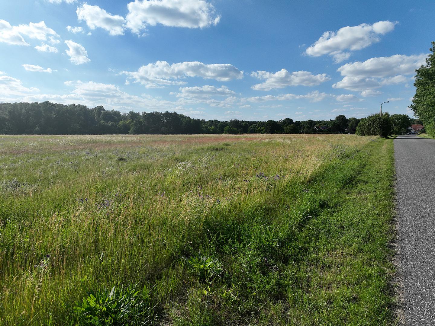 Blick von der Zuwegung 
