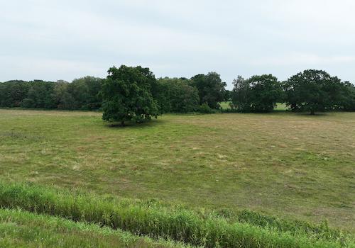 Blick über die Wiese 