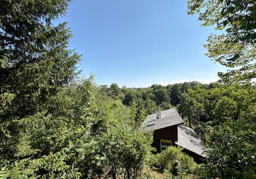 Blick von der Terrasse in die Ferne 