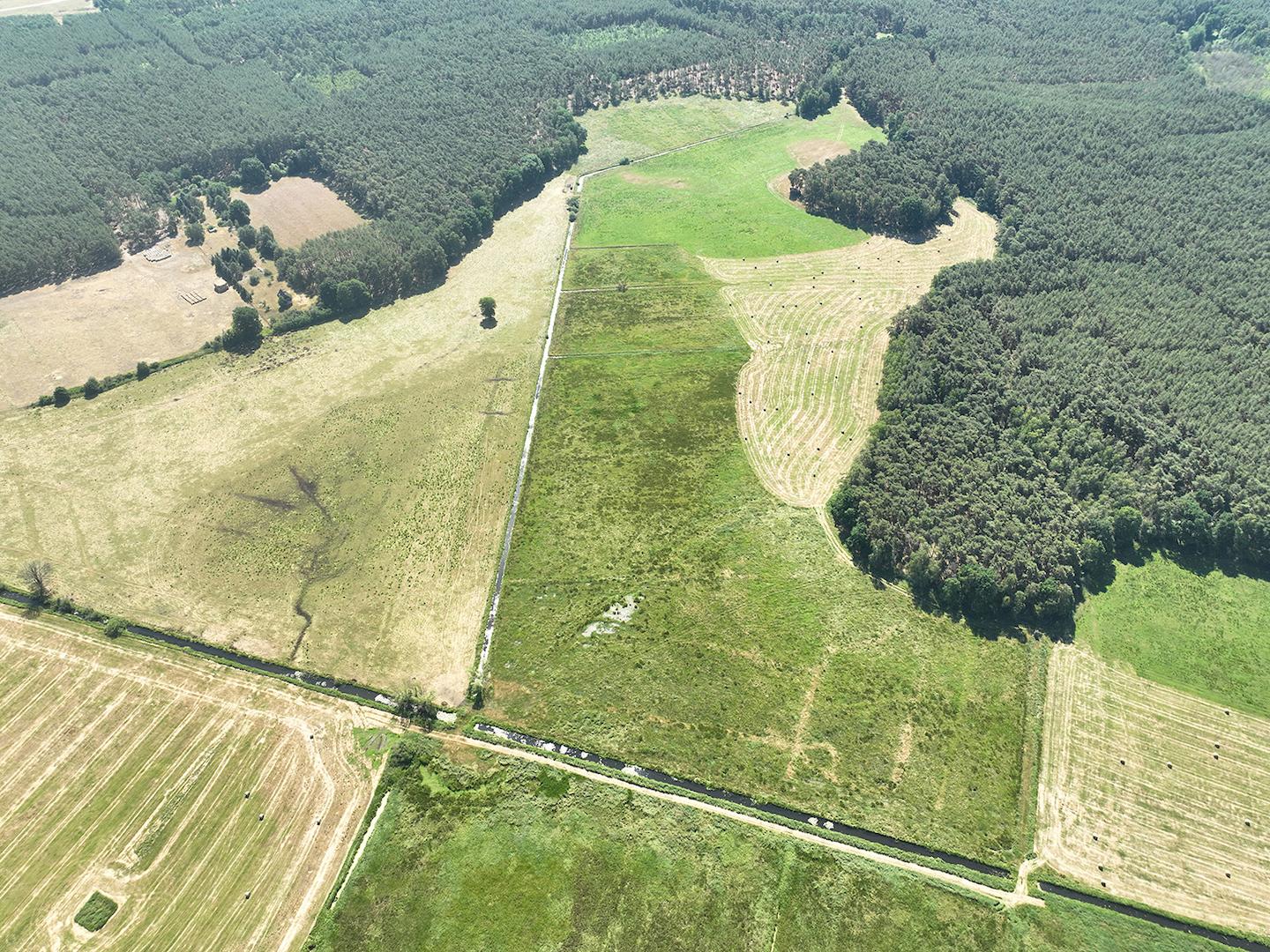 Blick von Oben auf die Wiese 