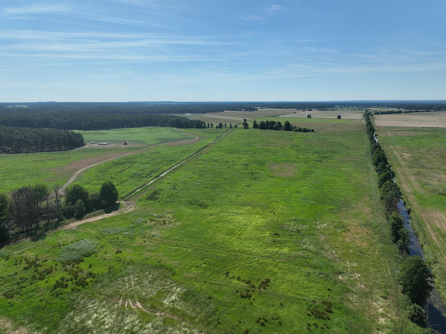 Blick über die Wiese Richtung Süden 