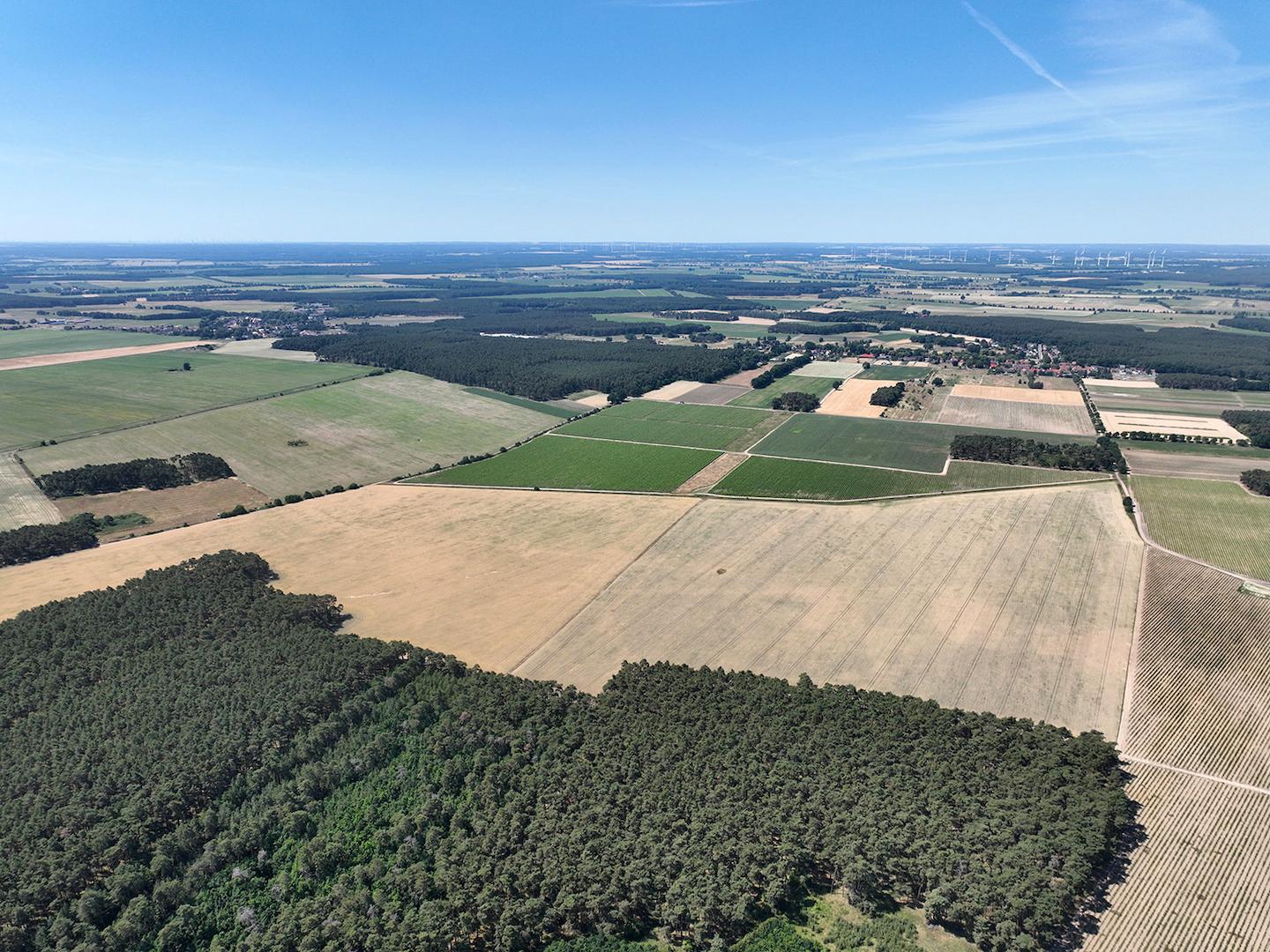 Blick Richtung Westen 