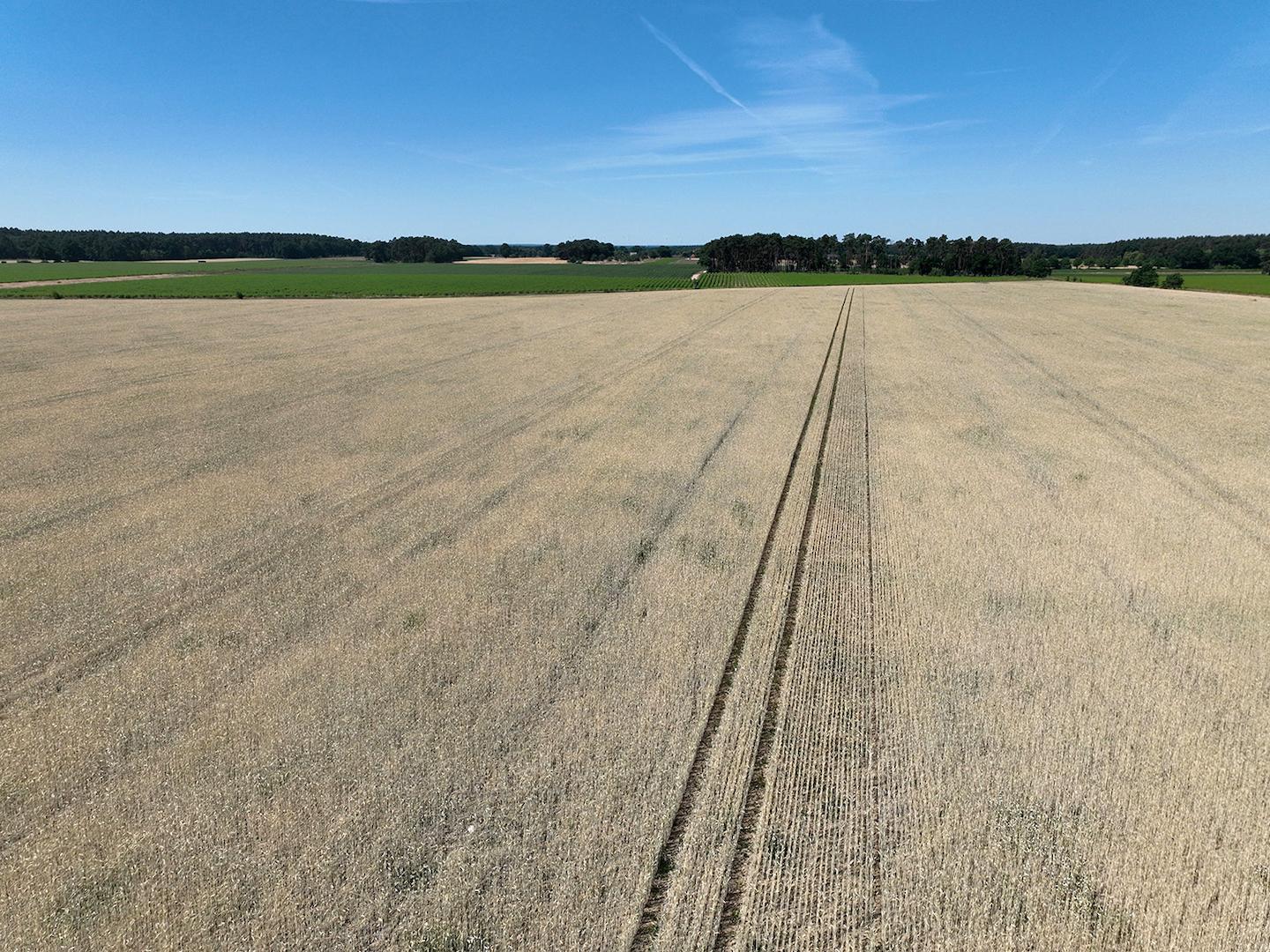 Blick über den Acker