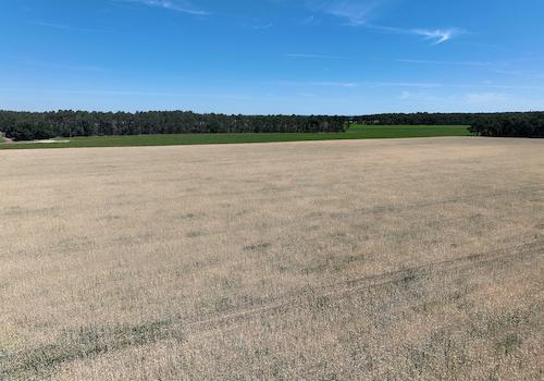 Blick über den Acker 