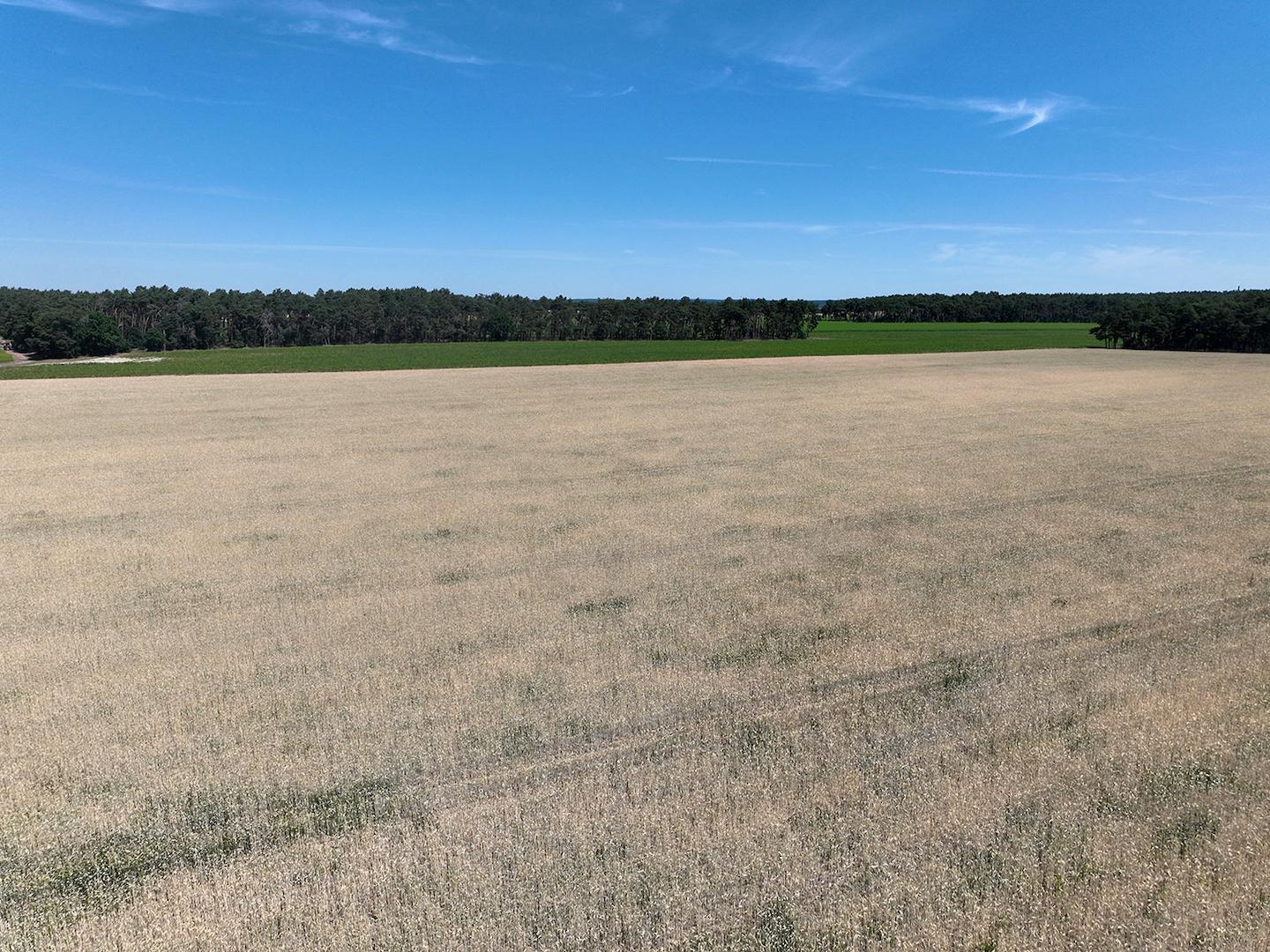 Blick über den Acker 