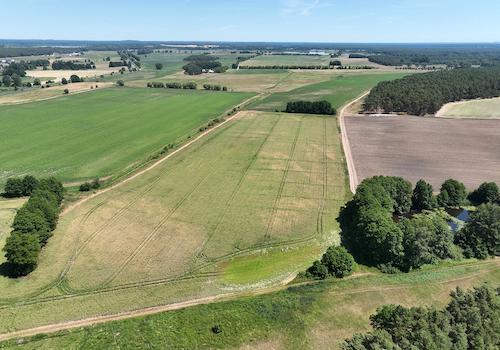 Blick über die Landwirtschaftsflächen 