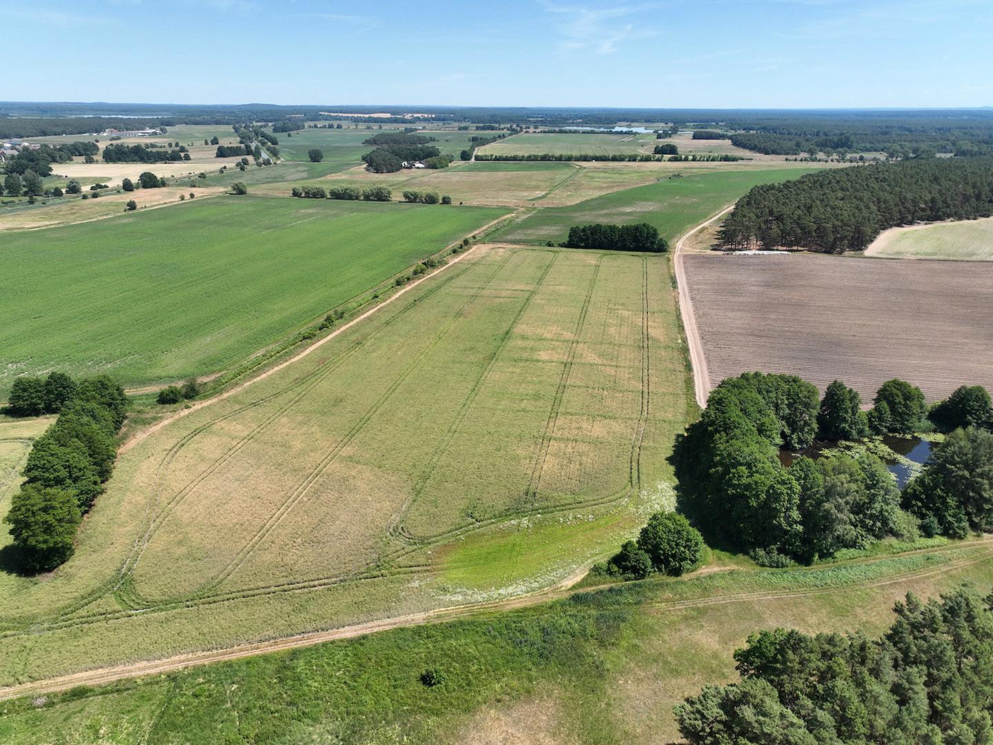 Blick über die Landwirtschaftsflächen 