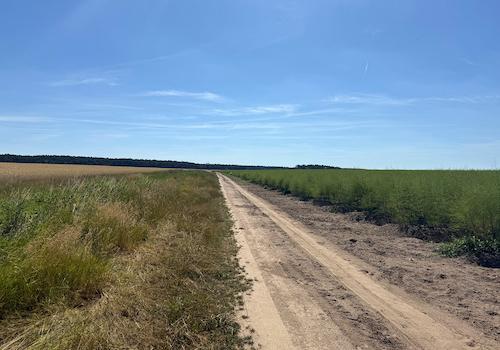Wirtschaftsweg + Landwirtschaftsflächen 