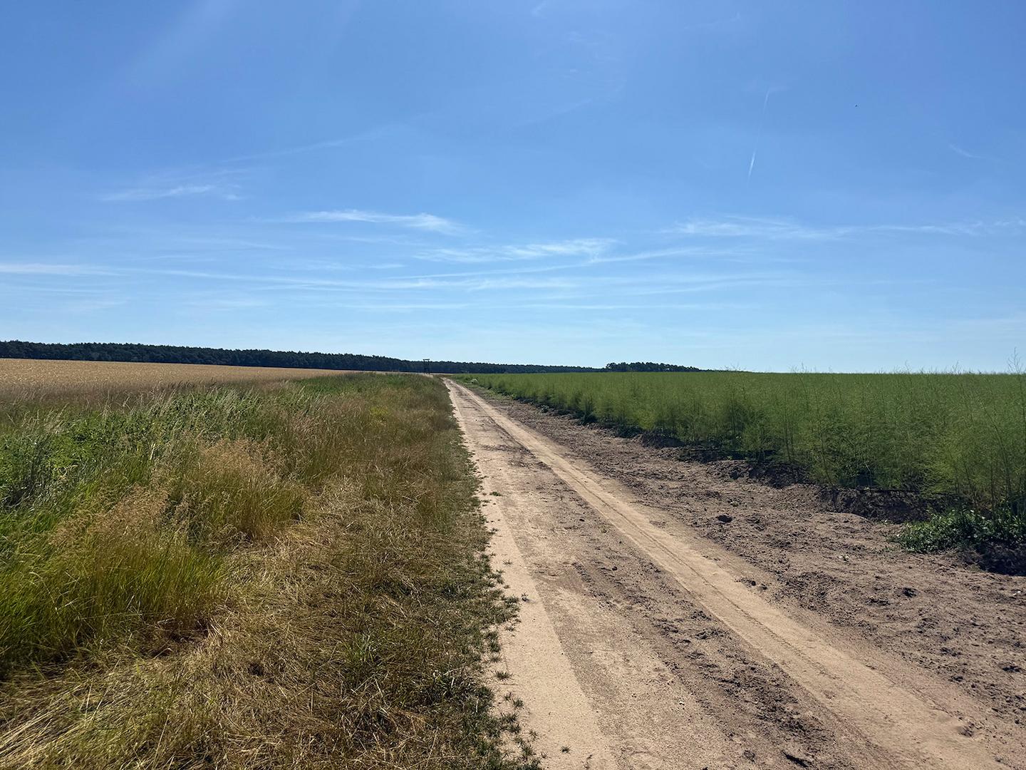 Wirtschaftsweg + Landwirtschaftsflächen 