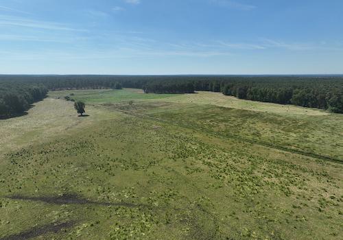 Blick über die Landwirtschaftsflächen 