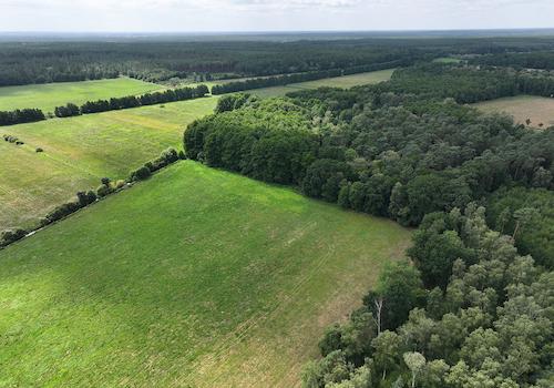 Blick Richtung Süd-West 